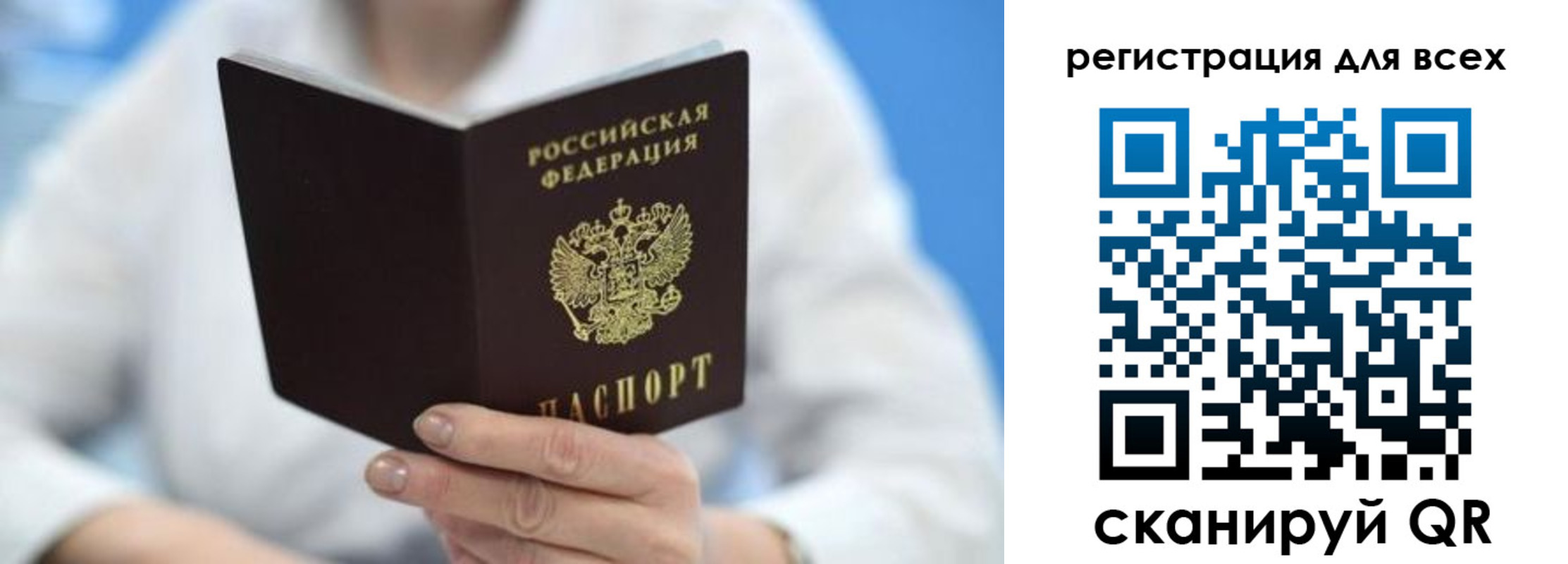 прописка гарантия в Светлогорске