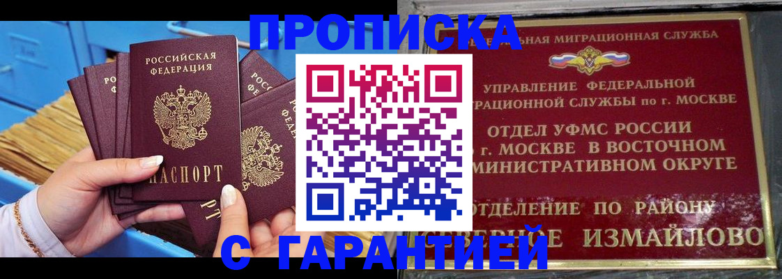 прописка поиск в Светлогорске